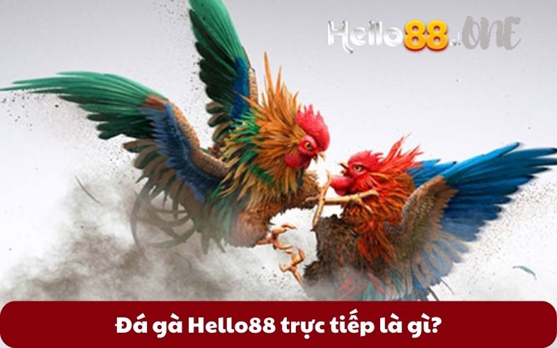 Da-ga-Hello88-truc-tiep-la-gi