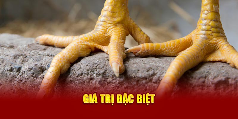 gia-tri-dac-biet